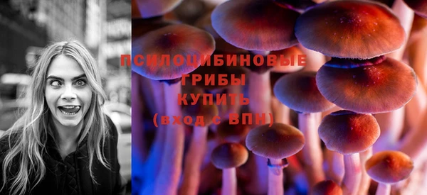 СК Балахна