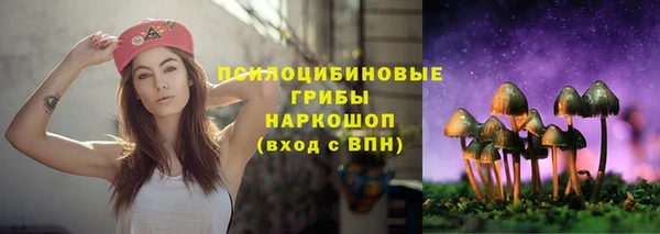 СК Балахна