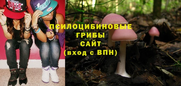 СК Балахна