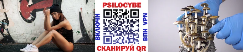 Псилоцибиновые грибы ЛСД  Удачный 